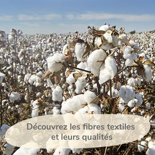 Coton, lin, bambou... découvrez les fibres textiles, leurs origines et leurs propriétés...